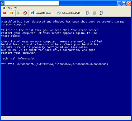 Windows XP ESX BSOD server